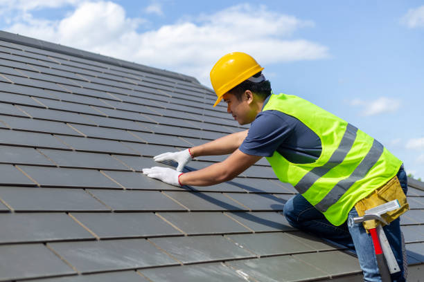 Best Local Roofing Companies  in Maple Lake, MN