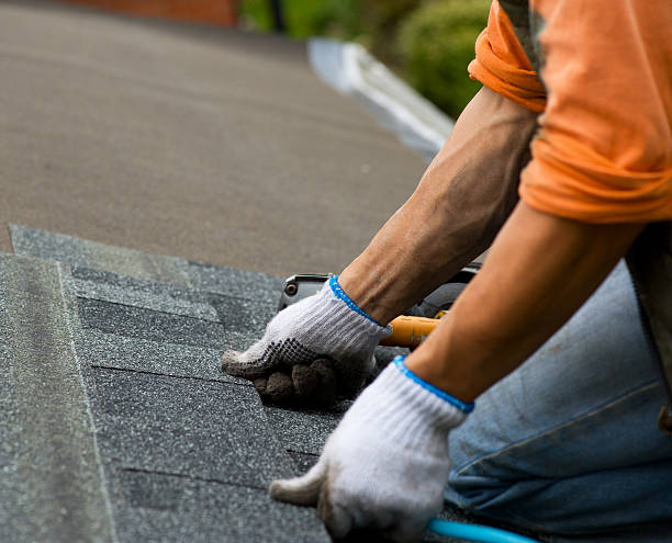 Best Residential Roofing Contractor  in Maple Lake, MN