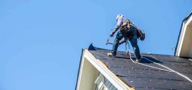 Best Storm Damage Roof Repair  in Maple Lake, MN